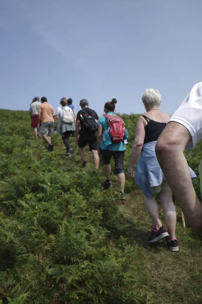 Randonnée Campagne Pays Basque — Photo