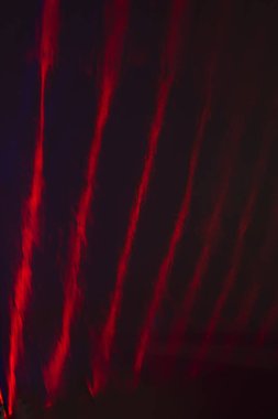 Bir müzeye kurulmuş.