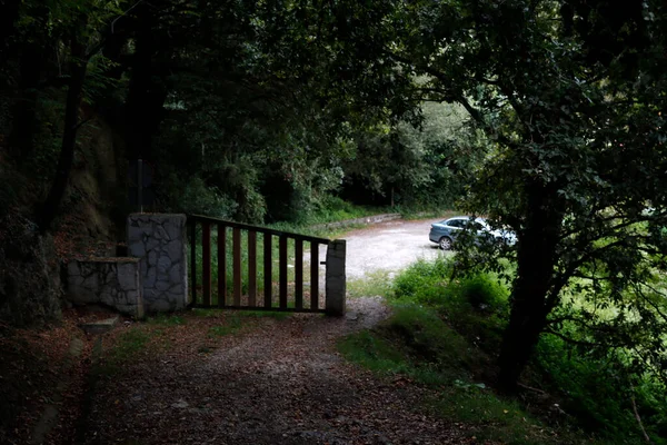 View Urban Park — Stock Photo, Image