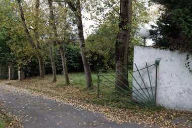 Bir şehir parkında bitki örtüsü