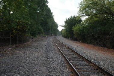 Tren ormanın içinde