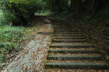 Sonbahar günü park et.