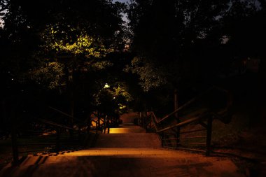 Şehir parkında sonbahar