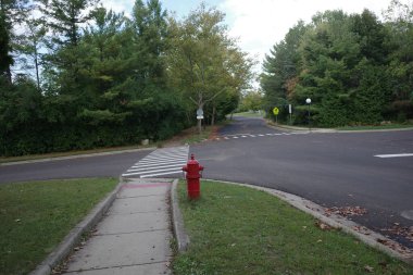 Ann Arbor, Michigan 'ın varoşlarında yol