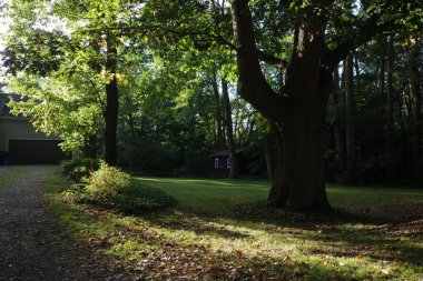 Bir kentin varoşlarında sonbahar