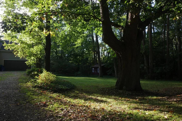 Bir kentin varoşlarında sonbahar