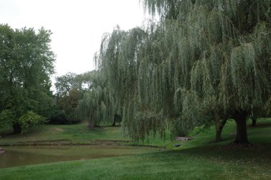 Bir kentin varoşlarında sonbahar