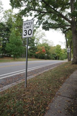 Ann Arbor, Michigan 'ın Kenar Mahallesi