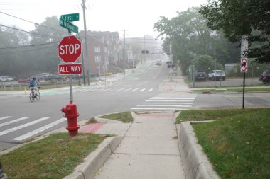 Ann Arbor, Michigan 'ın Kenar Mahallesi