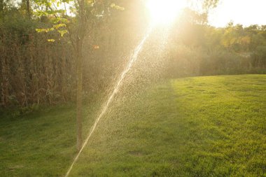 Fıskiyeler yeşil çimenlere su püskürtüyor.