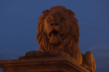 Budapeşte, Macaristan 'da aslan heykeli