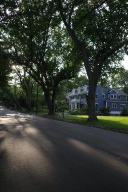 Ann Arbor, Michigan 'daki banliyö evi