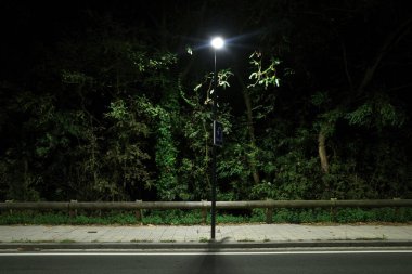 Şehir parkındaki ağaçlar