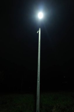 Lamppost geceleri şehirde