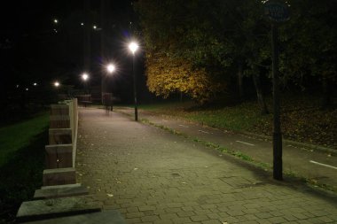 Şehir parkında bir gece