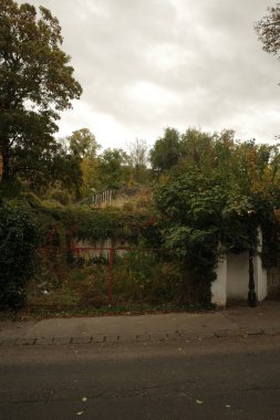 Parkta sonbahar günü