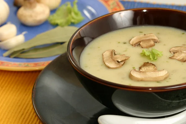 Creme de Champignons ist eine Suppe, in der die Kombination von Fleisch und Champignons in heißem Wasser, bis der Aromaextrakt — Stockfoto