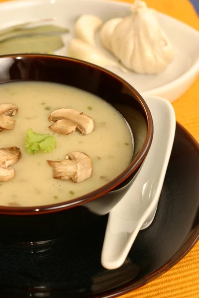 Creme de Mushroom is a soup in which combining the meat and mushrooms in hot water until the flavor extract — Stock Photo, Image