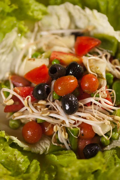 Verse en heerlijke fruitsalade. — Stockfoto