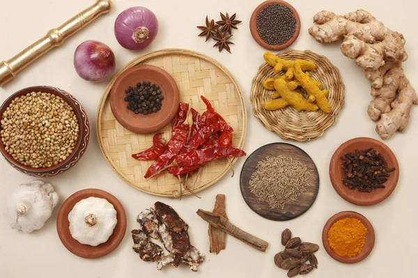 Rajasthani voedingsmiddelen en nieuwe voedselingrediënten — Stockfoto