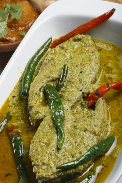 Elisher tela jhal ist ein Bengalifischgericht — Stockfoto