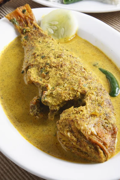 Maacher jhol - ein Bengalisches Fischcurry — Stockfoto