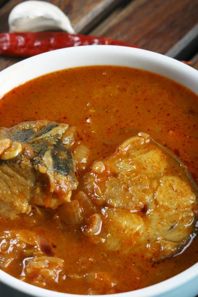 Kerala Style fish curry — Stock Photo, Image