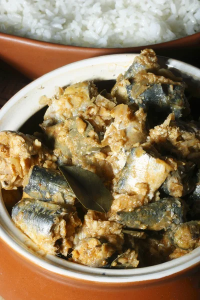 Un curry de pescado estilo South Kerala — Foto de Stock