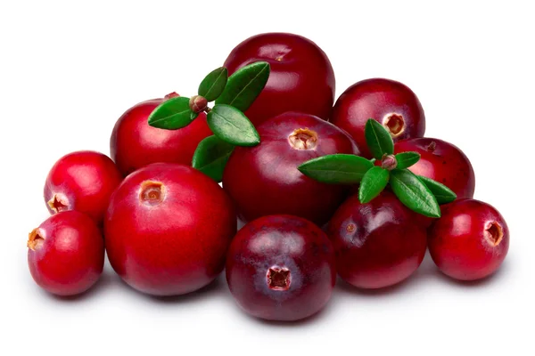 Wild cranberries isolated — Stock Photo, Image