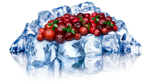 Bevroren cranberries geïsoleerd — Stockfoto