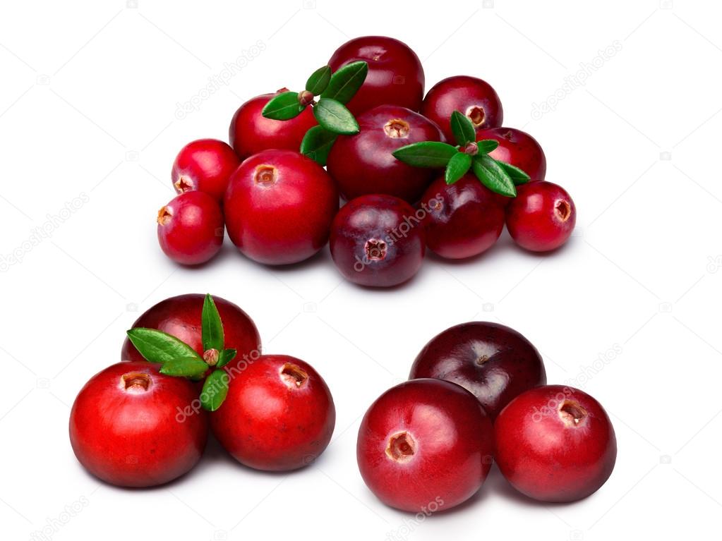 Wild cranberries isolated