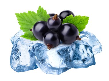 Donmuş blackcurrants izole