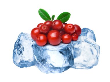 Donmuş lingonberries izole