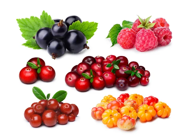 Am meisten konsumierte Beeren — Stockfoto