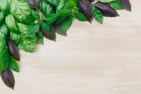 Heirloom basil on wooden table