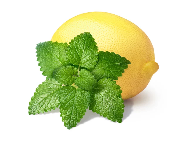 Limone con balsamo alla menta isolato — Foto Stock