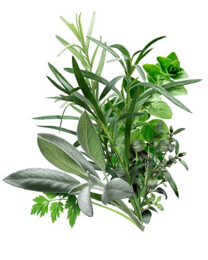 Herbes de Provence (otlar bileşimi)