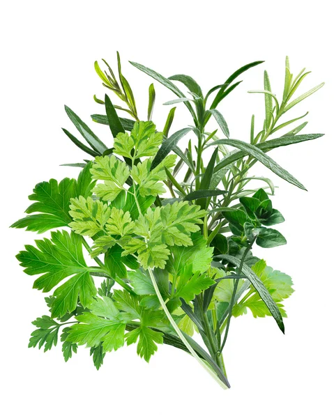 Herbes de Provence (combination of herbs) — Stock Photo, Image
