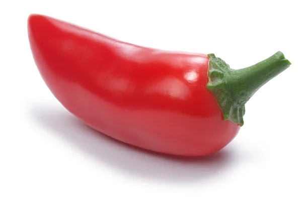 Varma Laminada peppar (Capsicum Annuum) — Stockfoto