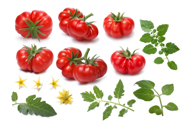 熟したエアルーム トマト、様々 な Togorific のセット — ストック写真