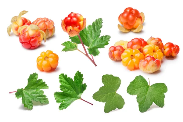 Set di bacche nuvolose (Rubus Chamaemorus) e foglie, sentieri, elemen — Foto Stock