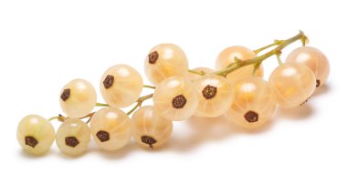 Whitecurrant grup (Ribes Rubrum), yolları
