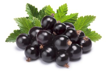 Kırpma yolları blackcurrant kazık (Ribes Nigrum),
