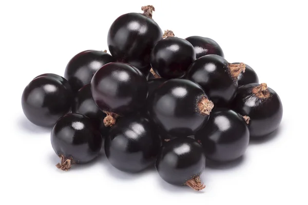 Tumpukan Blackcurrant (Ribes Nigrum), jalur kliping — Stok Foto