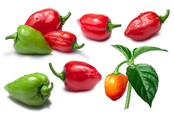 Uppsättning av rött, orange och gröna Habanero paprika — Stockfoto