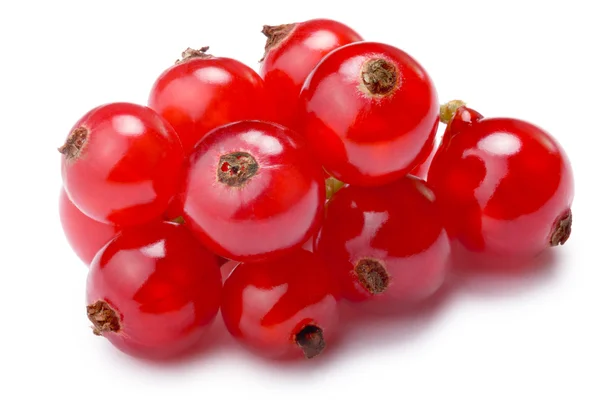 Kupie Czerwona porzeczka (Ribes Rubrum), ścieżki — Zdjęcie stockowe