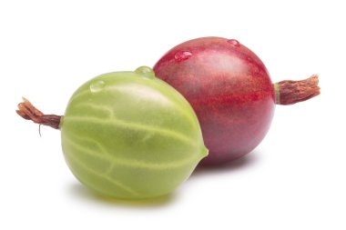 Red and green Gooseberries, paths clipart