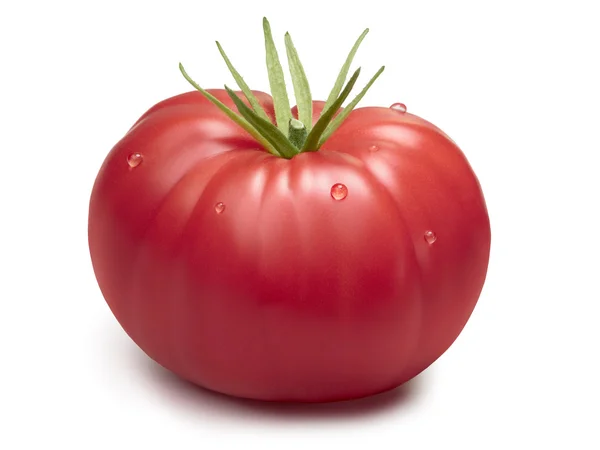 Roze Acoordion heirloom tomaat — Stockfoto