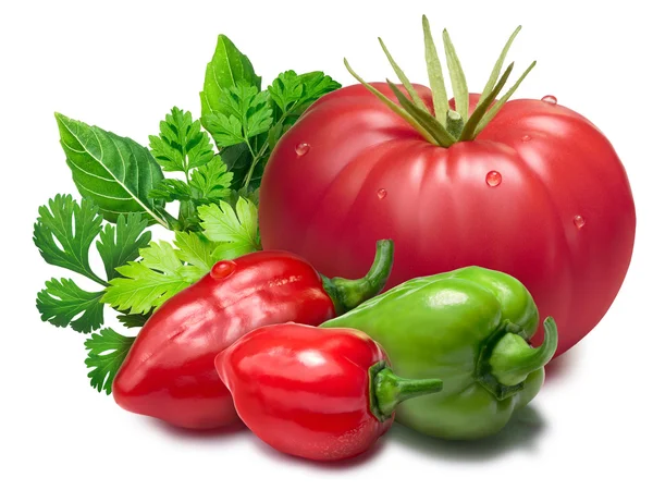 Tomato, habaneros, herbs as design element — Stock Image Tomato, habaneros, herbs as design element Stock Image
