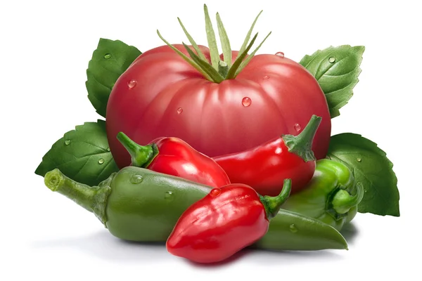 Tomates, habaneros, ervas aromáticas como elemento de design — Fotografia de Stock